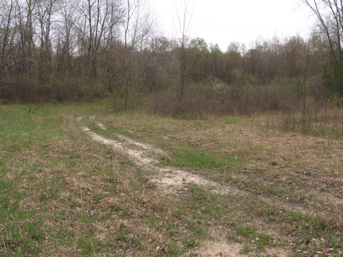 Western Michigan Speedway (West Michigan Speedway) - Spring 2008 From Me (newer photo)